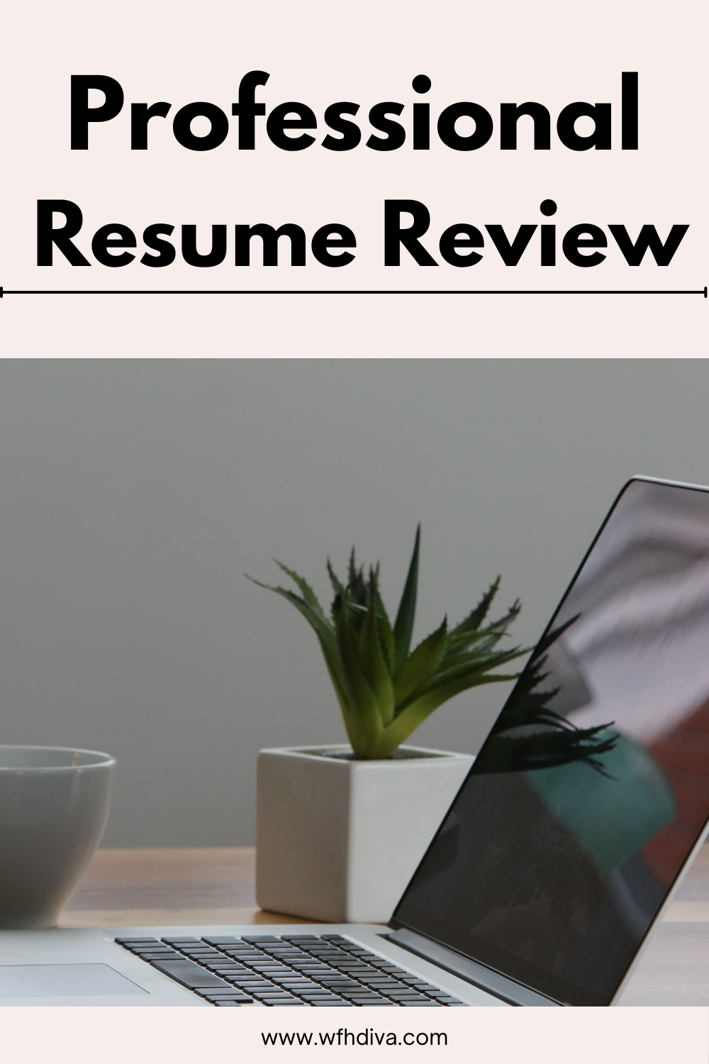 Professional Resume Review Only - No Revamps*